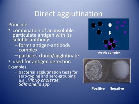 Agglutination