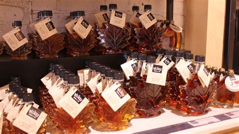 Canada's iconic maple syrup may face climate change challenges ...