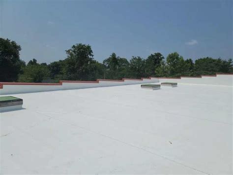 TPO Roofing Vs EPDM: Which Is Productive For Your Business?