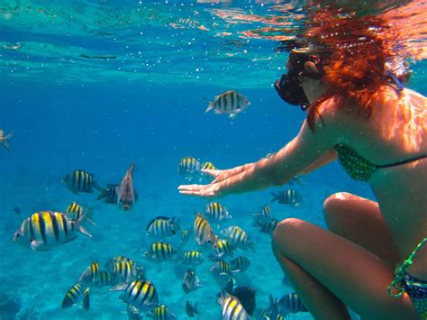 10 Fun Things to Do in Akumal: Local Insider Suggestions (2019)