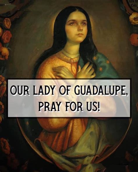 FEAST OF OUR LADY OF GUADALUPE - 12th DECEMBER - Prayers and Petitions