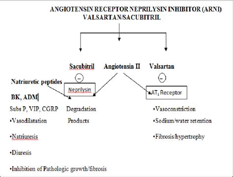 Mechanism of action of LCZ696 (sacubitril valsartan). ADM ...