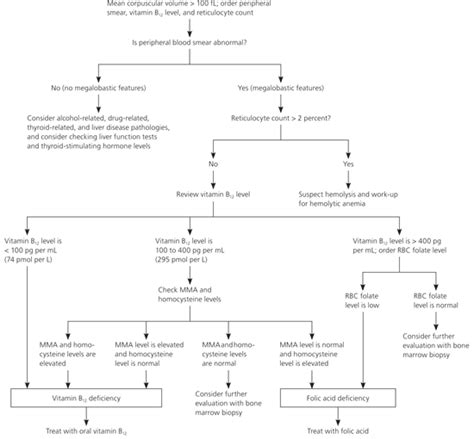 Can Alcohol Cause Macrocytosis? - Recovery Ranger