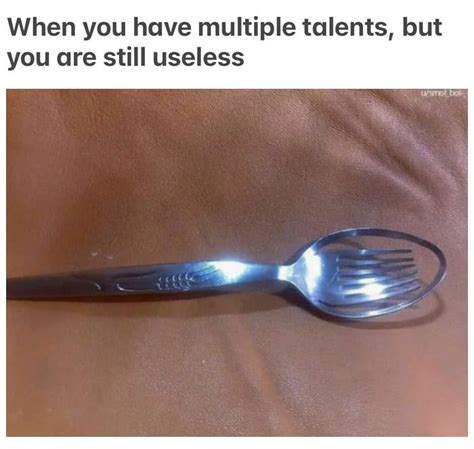 The spork - Funny | Funny memes, Really funny memes, Stupid funny memes