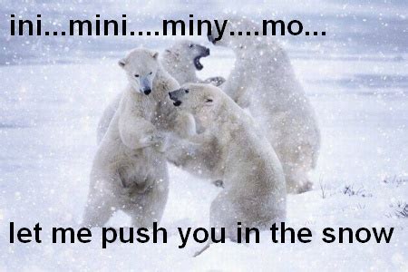 Polar Bear Quotes. QuotesGram