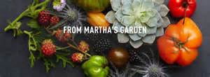 From Martha's Garden Videos | How-Tos and Step-by-Step | Martha Stewart