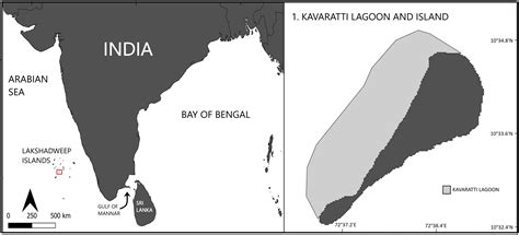 IOTN36-02-OLIVE RIDLEY TURTLE ENTANGLEMENT IN GHOST NETS IN KAVARATTI ...