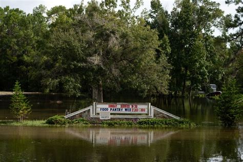 Photos: Scenes from Crystal River, Fla.