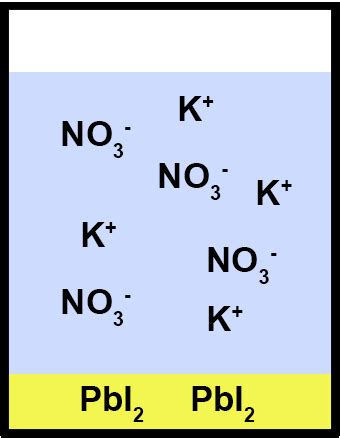 Consider the reaction Pb(NO3)2(aq) + 2KI(aq) arrow PbI2(s) + 2KNO3(aq). Draw highly magnified ...