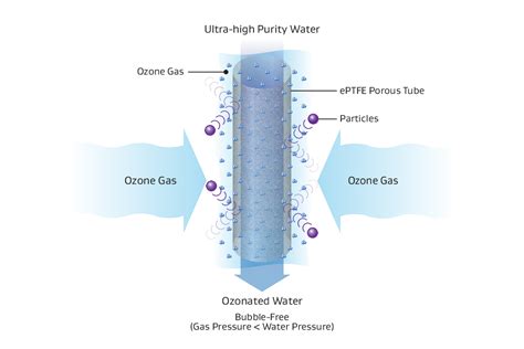 Ozonation Modules for Semiconductor Cleaning | Gore