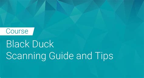 Black Duck: Scanning Guide and Tips