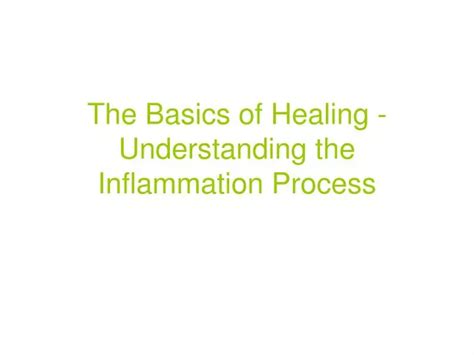 PPT - The Basics of Healing - Understanding the Inflammation Process PowerPoint Presentation ...