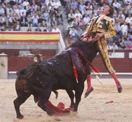 Bull Fighting: Bullfight Madrid