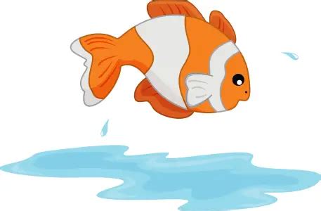 Fish Out of Water - Idiom Meaning and Origin | Common Phrases