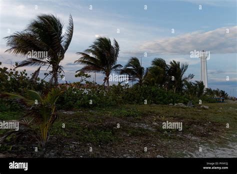 Mahahual beaches with a reef boat trip away Stock Photo - Alamy