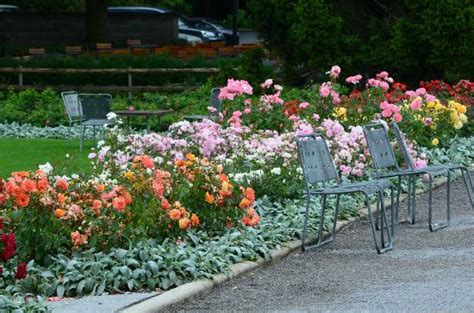 Rose Garden (Rosengarten) (Bern) - 2018 All You Need to Know Before You Go (with Photos ...