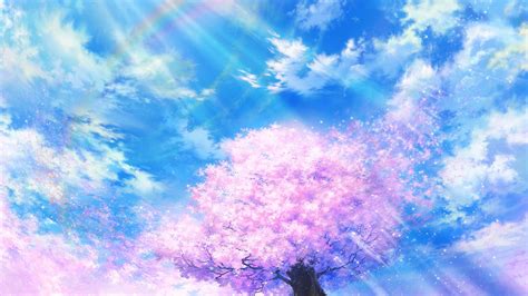 Download Sunshine Blossom Spring Anime Tree HD Wallpaper