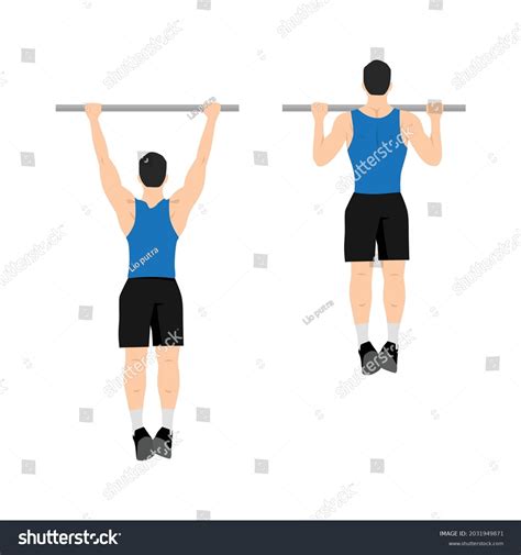 2,191 Weighted Pull Ups Stock Vectors and Vector Art | Shutterstock