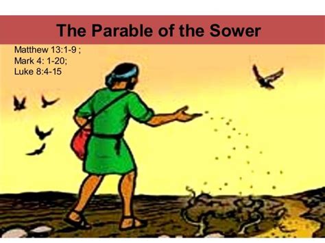 The parable of the Sower Luke 8, Together Quotes, Daily Reflections, Sower, Daily Reading ...