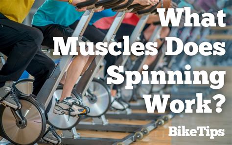 What Muscles Does Spinning Work? The 8 Benefits Of Spin Class Workouts