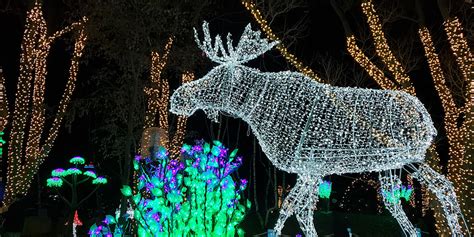 30 Best Places to See Christmas Lights in Toronto (2024)