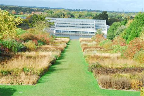 Piet Oudolf's borders at Wisley in the Autumn | Beautiful gardens, Garden borders, Country roads