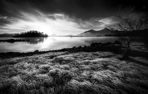 Wallpaper fog, lake, morning, japan, Fukushima, Frosty morning, b & W ...