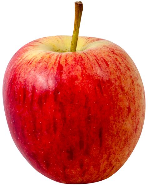 Apple PNG Image | Fruits images, Fruits drawing, Fruit