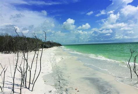 Caladesi Island State Park | Florida State Parks