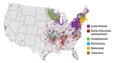 New approaches may help solve the Lyme disease diagnosis dilemma