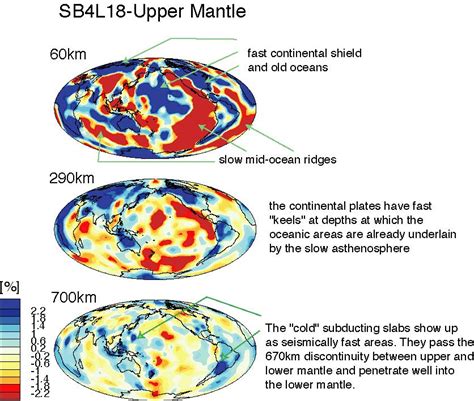 Upper Mantle Diagram