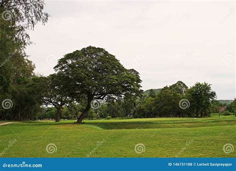 Golf Course Scenery, Popular Sport Stock Photo - Image of countryside, hole: 146731188