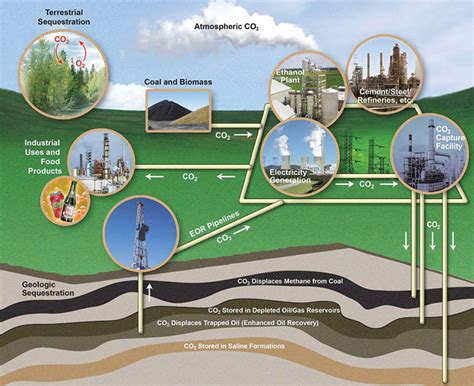 Carbon Sequestration Saving Earth Encyclopedia Britannica - Riset