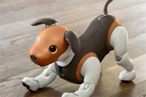 OMG! We want Sony's new beagle-like Aibo robot dog