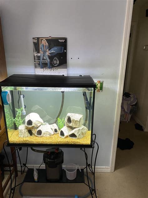 37 gallon fish tank/ aquarium for Sale in Middleburg, FL - OfferUp