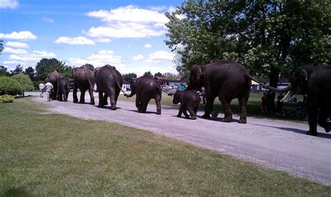 Wild animal park outside of Toronto, Ontario | Wild animal park ...