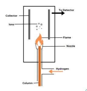 GC-FID | Gas Chromatography Flame Ionization Detector