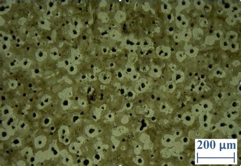 Metallography of the test substance ( etched in 5% Nital solution) | Download Scientific Diagram