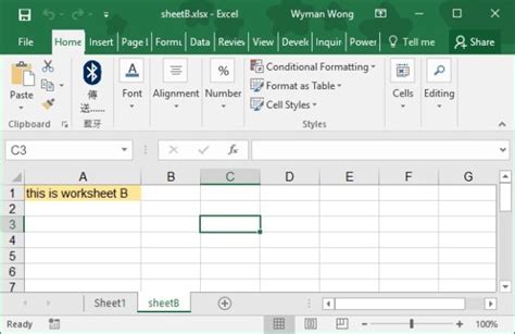 Excel VBA copy each worksheet to new workbook