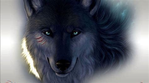 Dark Black Wallpaper Wolf / Subscribe to our weekly wallpaper ...