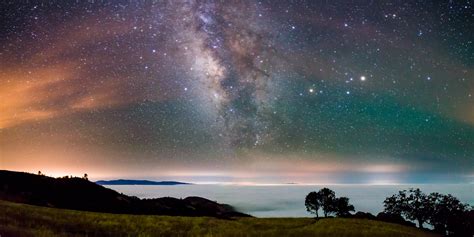 Starry Nights: Visions of the Night Sky — Wildling Museum