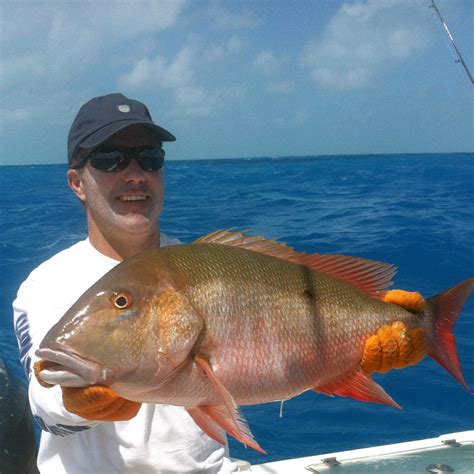 Reef Fishing Islamorada with Gringo Charters | Gringo Charters