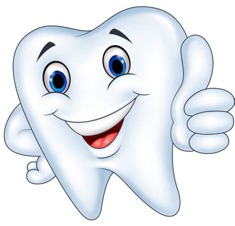 Happy Tooth Cartoon Gesturing Thumbs Up Clip Art, Vector Images & Illustrations - iStock