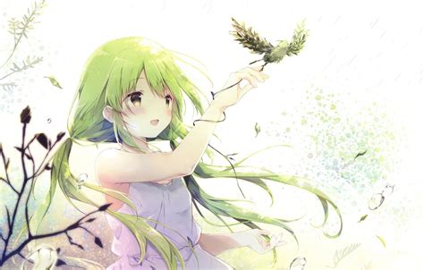 Anime Bird Wallpapers - Top Free Anime Bird Backgrounds - WallpaperAccess