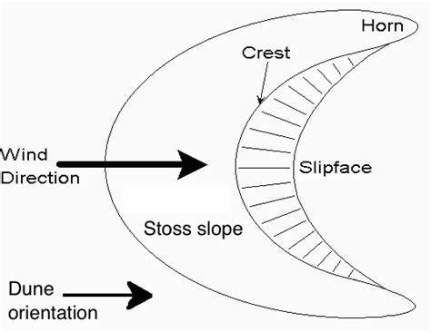 A labelled diagram showing the features and forming wind direction of a ...