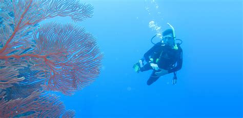 Dive Sites - Fiji Diving, Scuba Diving with Subsurface Fiji