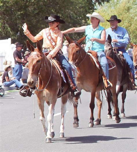 Jake Clark's Mule Days - Cody Yellowstone