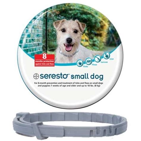 Best Flea Collar for Dogs: Stop The Scratching! | HerePup!