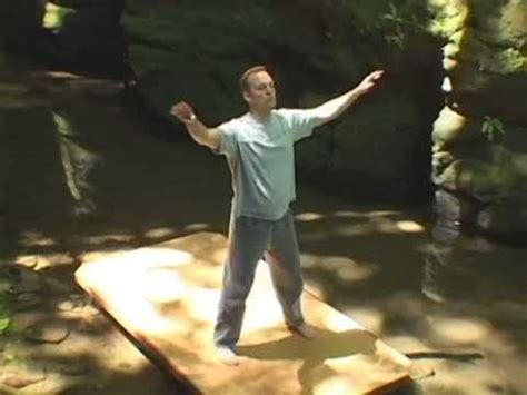 Qi Gong for Beginners with Lee Holden | Qigong, Tai chi qigong, Qigong exercises