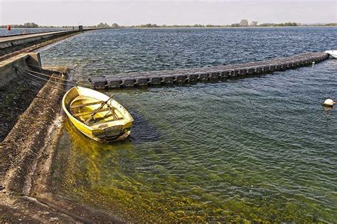 Farmoor Reservoir | Natureflip